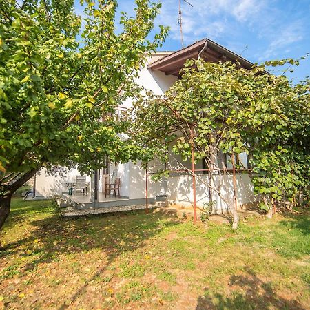 Villa Aleksandar 포레치 외부 사진