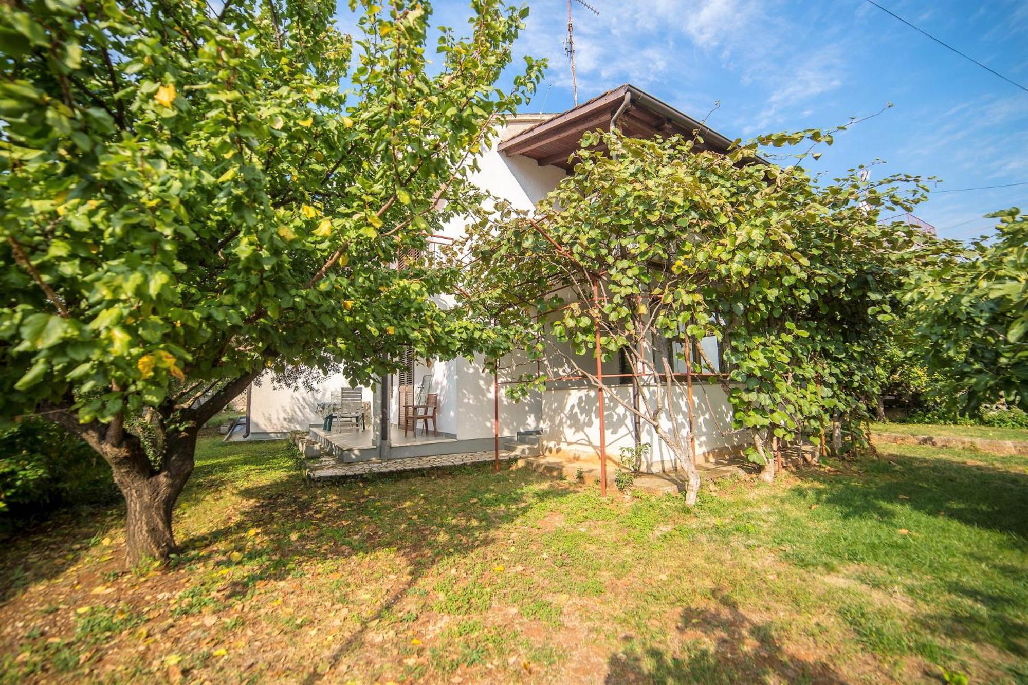 Villa Aleksandar 포레치 외부 사진